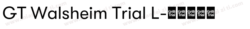 GT Walsheim Trial L字体转换